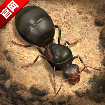 The Ants小小蚁国国际版下载官方正版
