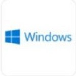 windows11模拟器中文版